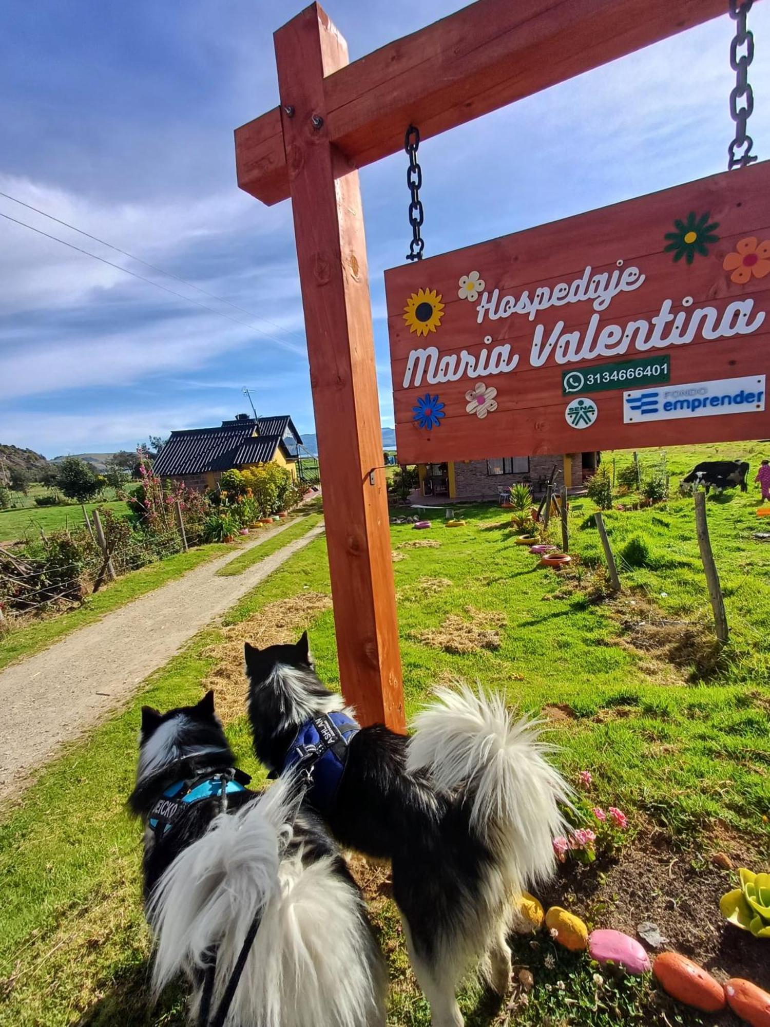 Hospedaje Maria Valentina Тота Экстерьер фото